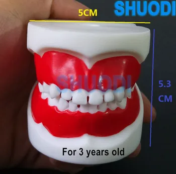 1 бр. Стандартен модел на обучение по стоматология за деца, модел на зъбите на децата, модел детски зъби, модел зъби за обучение Грижа за устната кухина