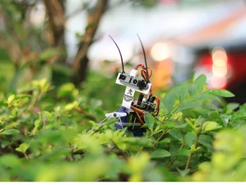 Insect bot, определени за ликвидация на робота-на насекомо
