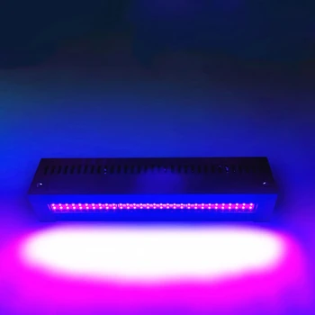 Led UV-отверждающая ултравиолетова Лампа двигателят е с мазителна печатна машина Стъклени мастило, боя ситопечат 3D принтер Втвърдяване на смола 395нм 405нм 365 нм