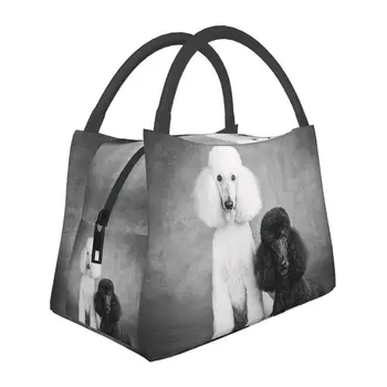 Чанта за обяд с минерална изолация за кучета, женствена Чанта за обяд Pudel Caniche, преносим чанта за обяд и за офис, кутия за съхранение на храна на открито